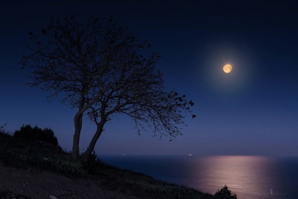 Night in the vicinity of Balaklava, Crimea, Ukraine
