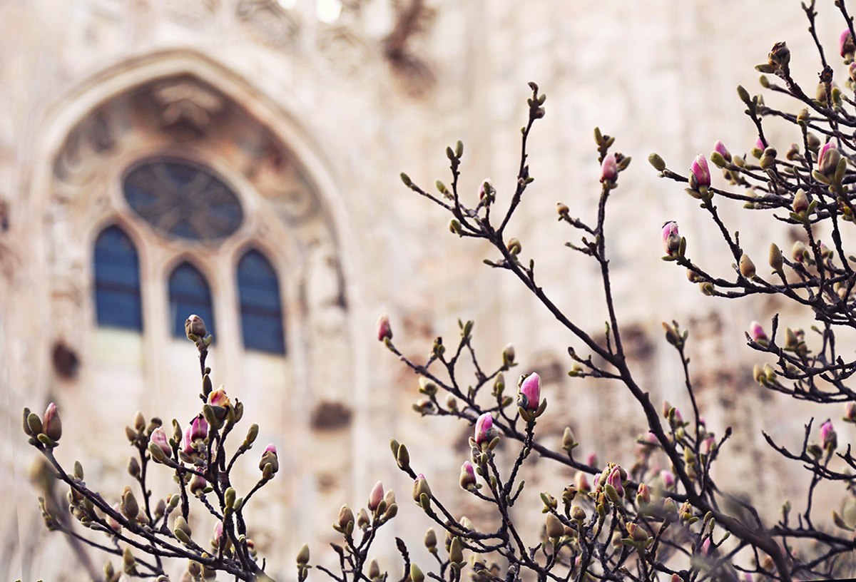 Der Frühling in Mailand