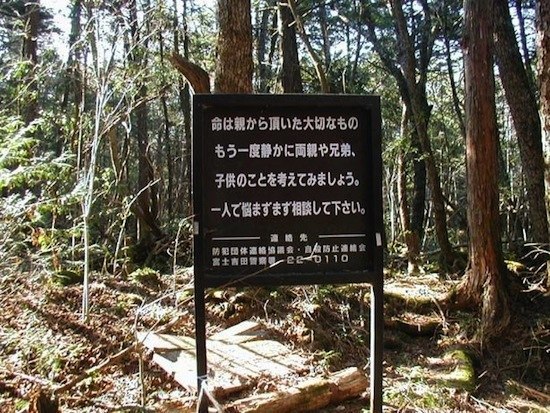 Aokigahara es el bosque de los suicidas. Aokigahara representa, en cierto modo, una triste atracción turística de Japón.