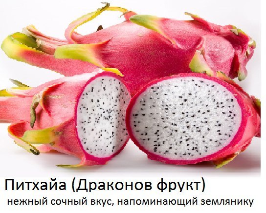 ¡Es algo que hay que probar antes de morir! - 7