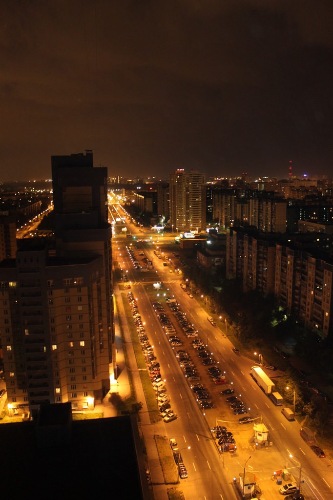 Saint-Pétersbourg, Pionerskaïa