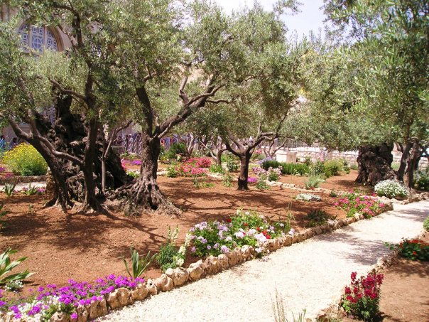 Ізраїль. Єрусалим - 7