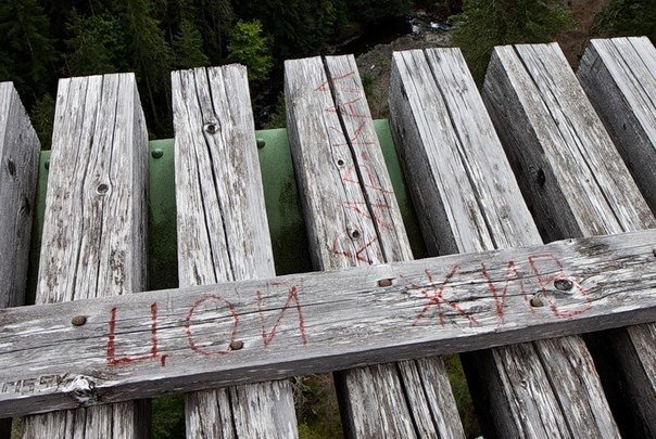 Самый высокий заброшенный мост в США . The Vance Creek Bridge — мост, построенный в 1929 году в штате Вашингтон, который был когда-то частью железной дороги лесопромышленной компании. Теперь это место находится в запустении. Высота моста, учитывая глубину