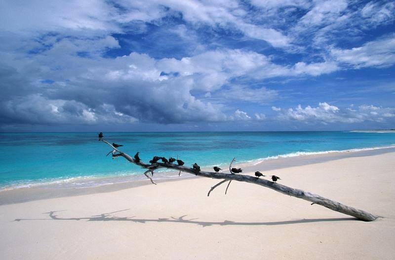 Beach on the island, Seychelles