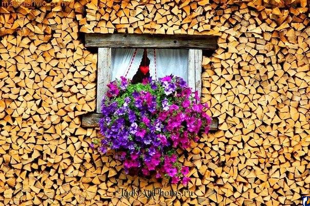 Идеальная дача