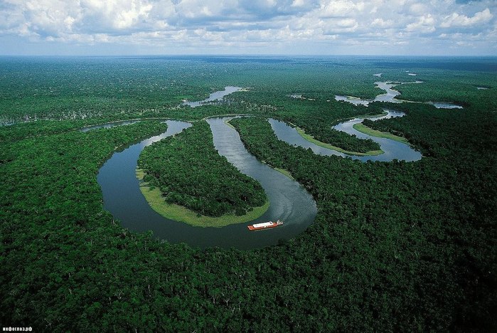 Амазония - 7