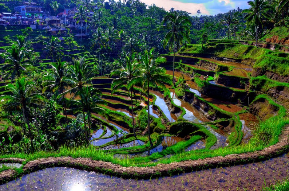 Bali - 8