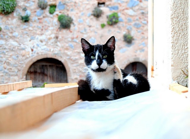 Монемвасії. Греція - 6