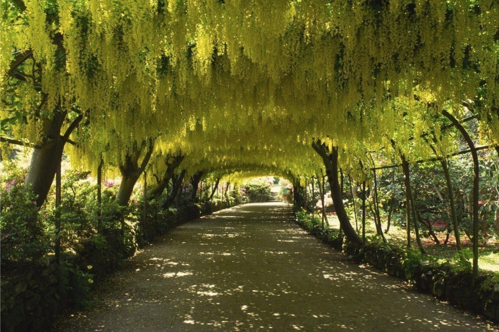 Арка в Боднант Гарден, Великобритания