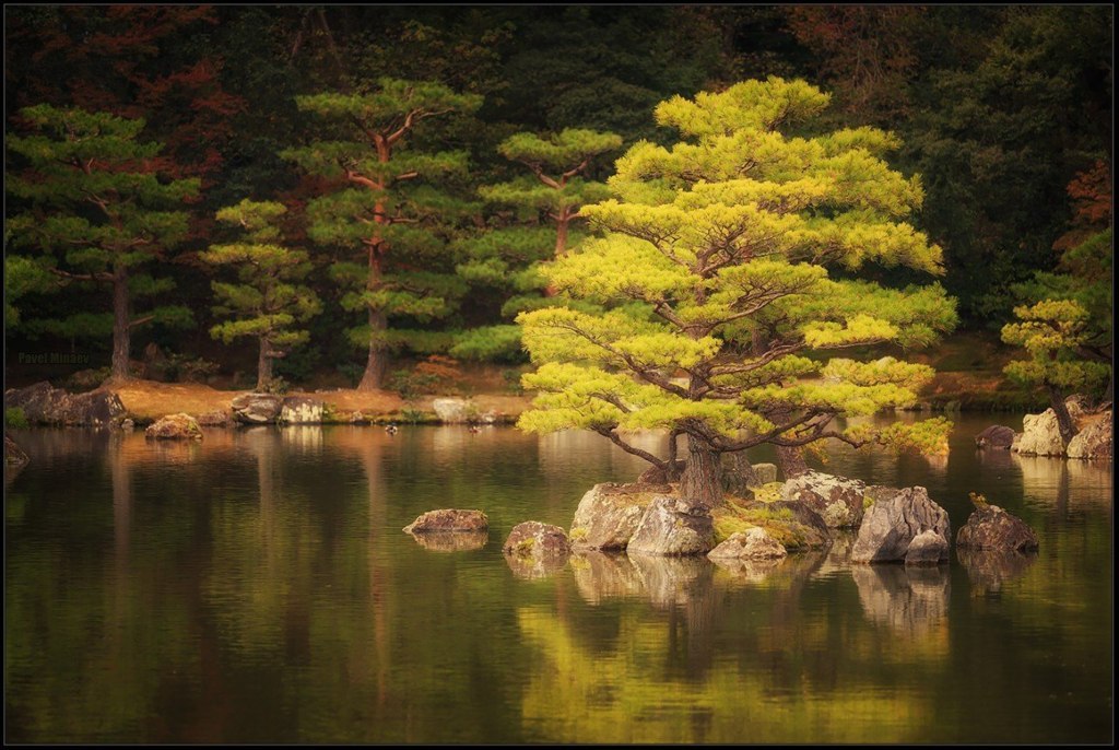 Парк Кинкакудзи в Киото, Япония