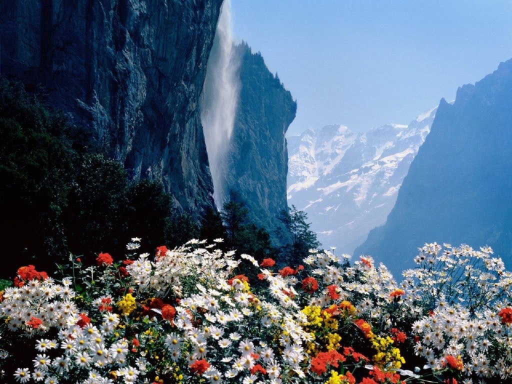 Flowers near Mount Jungfrau, Switzerland