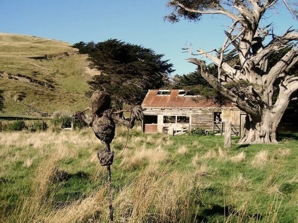 Адское пугало, способное напугать кого угодно. В новой Зеландии живёт талантливый 17-летний парень по имени Теодор Холмстэд-Скотт (Theodore Holmstead-Scott),который увлекается всем, что связано с Хэллоуином, любит мрачные инсталляции и сам же их создает,  - 5