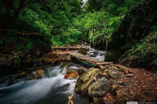 Літо в Гірській Інгушетії, Росія