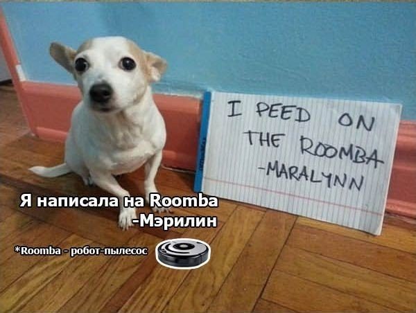 Признания собак - 9