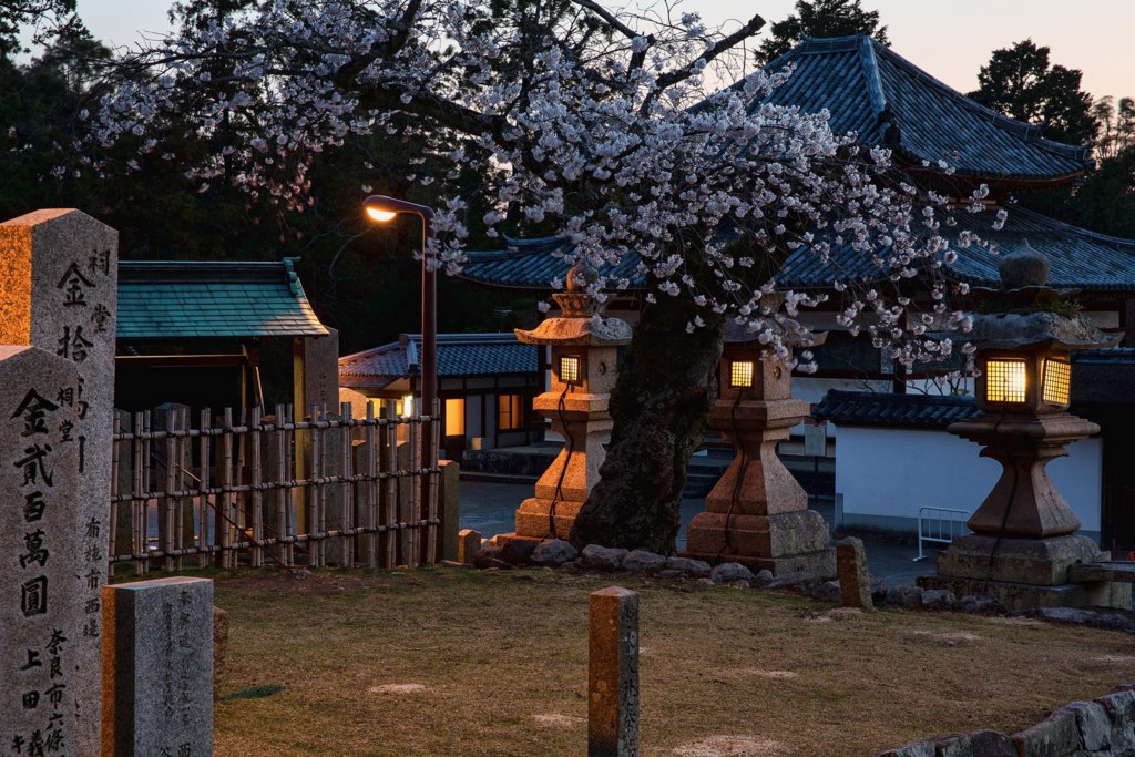 Вечер в парке Токио, Япония