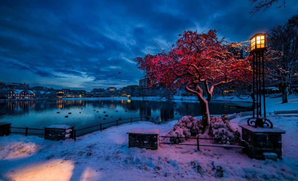 Ночь в Ставангере, Норвегия