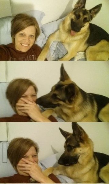 Когда моя собака пытается меня поцеловать, а я не даю