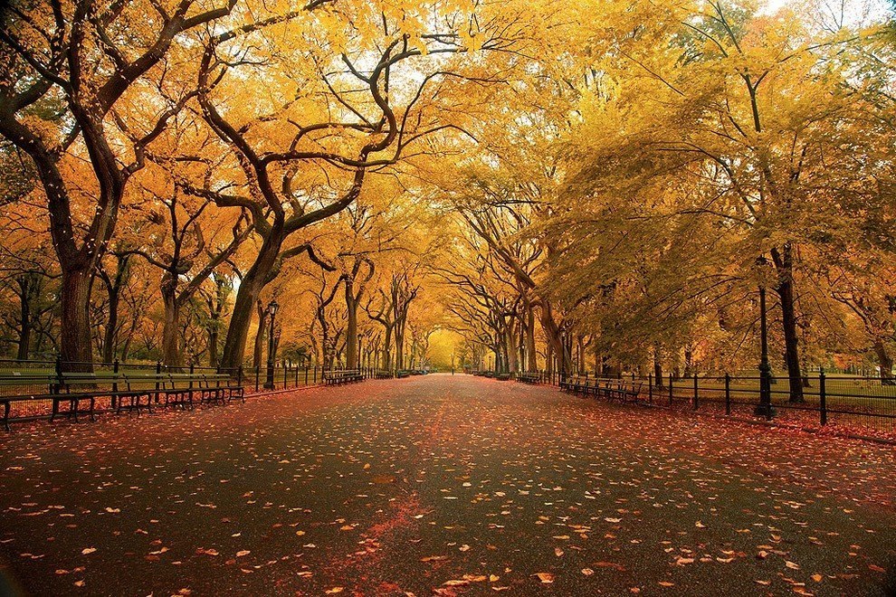Central Park, New York, USA