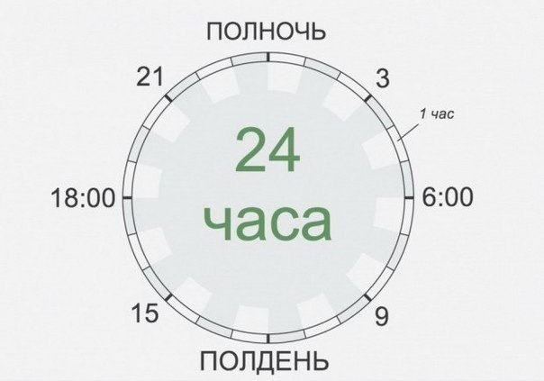 Распорядок дня великих людей