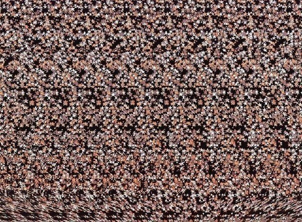 Стереокартинки для тренировки глаз. Отодвиньте стереограмму на расстояние полувытянутой руки, голову и картинку нужно держать строго горизонтально. Теперь постарайтесь расслабить взгляд и посмотреть сквозь картинку, представьте, что она прозрачная или что - 8