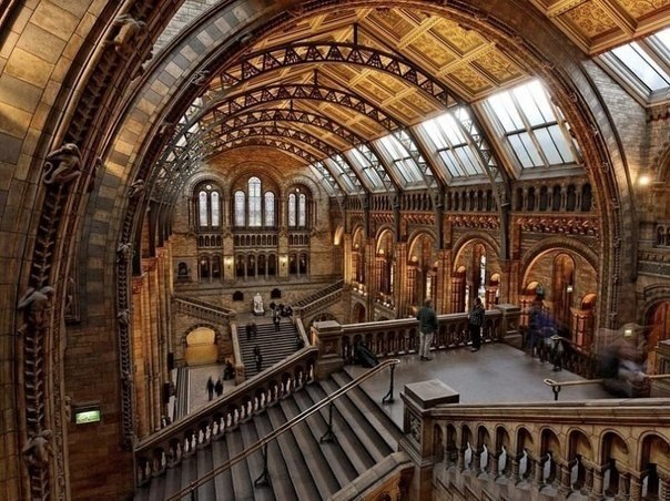 Natural History Museum in London, United Kingdom