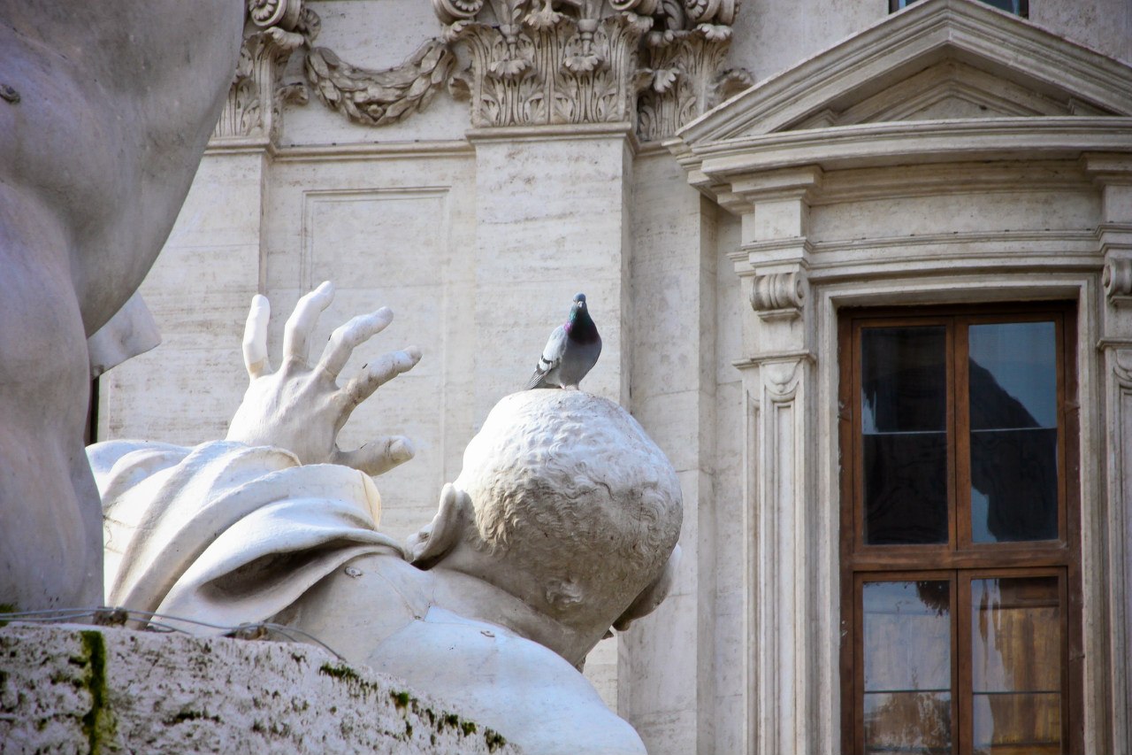 Рим. Италия - 5