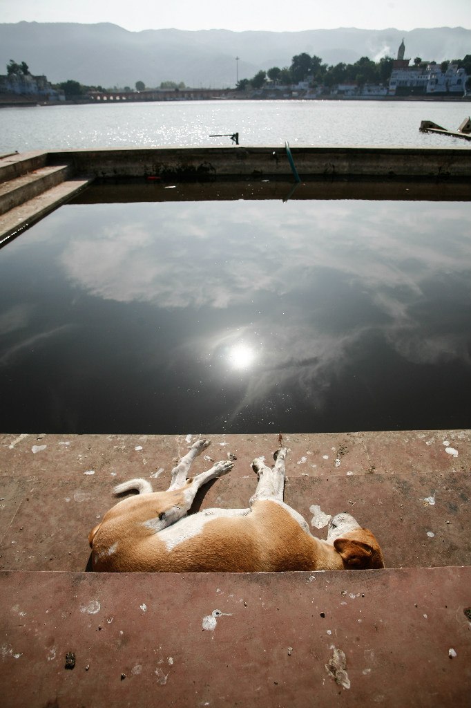 Священный город Пушкар, Индия - 5