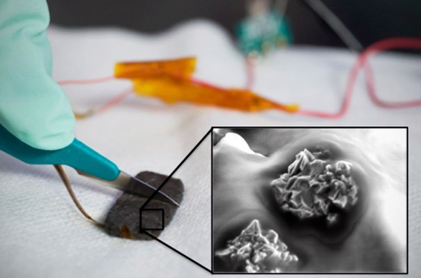 «PureScience-Health». Эксперименты, способные перевернуть мир.. В 2012 году прошло множество научных исследований в области медицины. О многих из них мы уже писали, но сегодня поговорим о микромире. Смогут ли микроорганизмы, метаматериалы, вирусы или ство