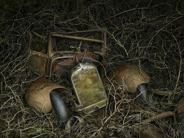 Брошенные автомобили в объятиях природы или фотопроект "Парковка в Раю" - 6