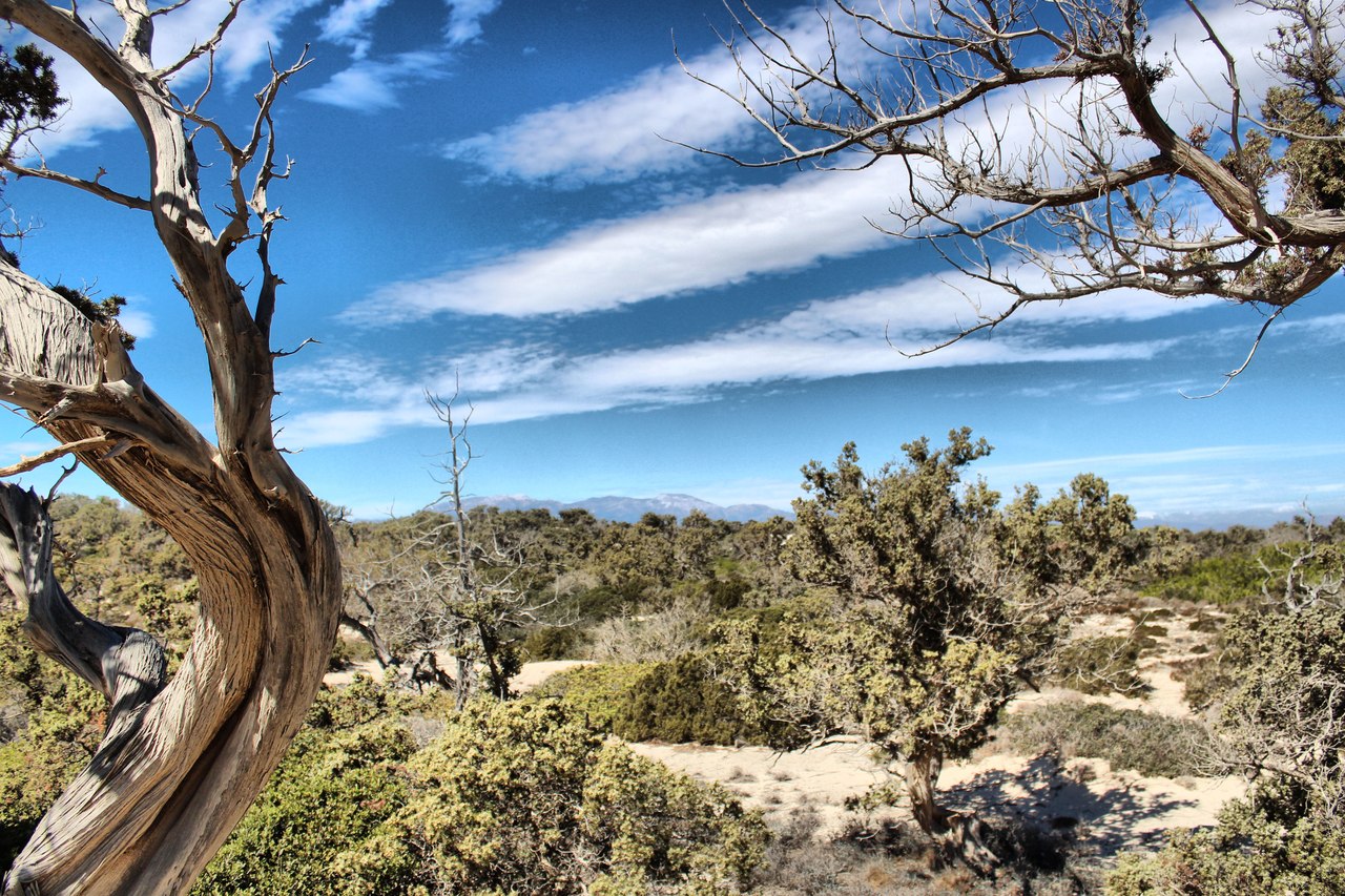 Греция, о. Хриси - 5