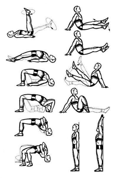 Упражнения для позвоночника.. Позвоночный столб окутан множеством различных мышц: полуостистой и длиннейшей мышцами головы, подвздошно-реберной, поперечно-остистой, полу-остистой и другими мышцами. Всех их объединяет то, что состоят они, преимущественно, 