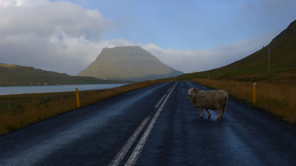 Туманная Исландия - 5