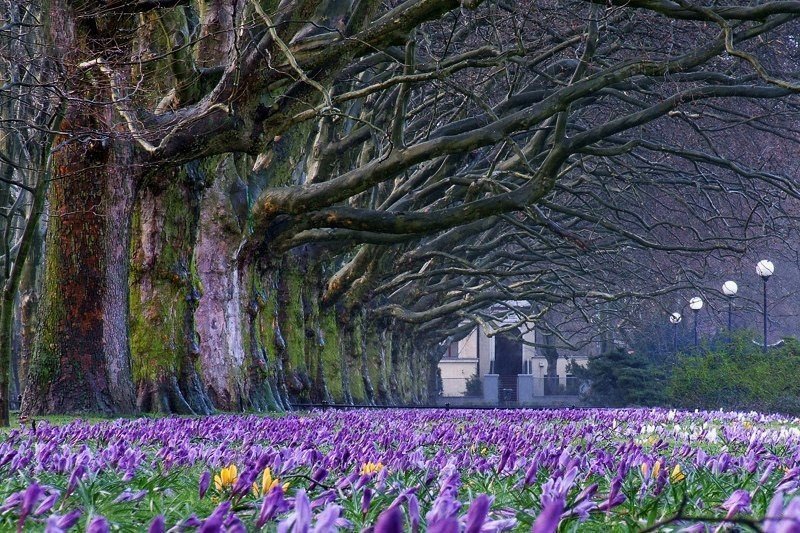 Park in Blonie, Poland