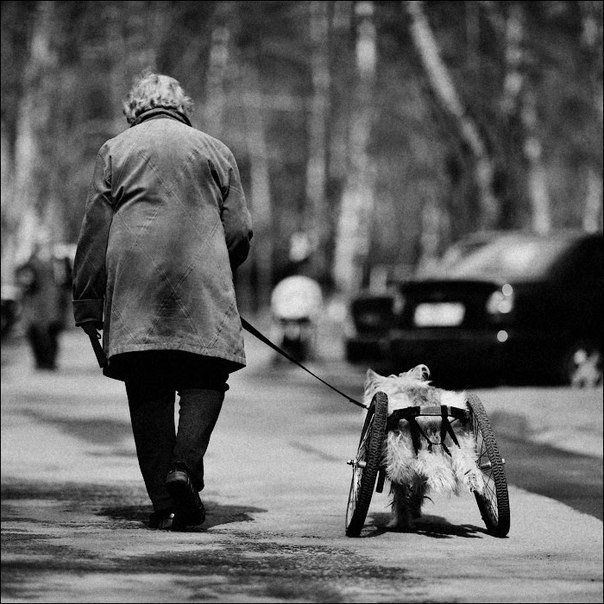 Больше, чем фото - 5