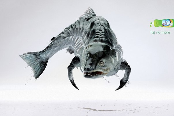 Ни капли жира!