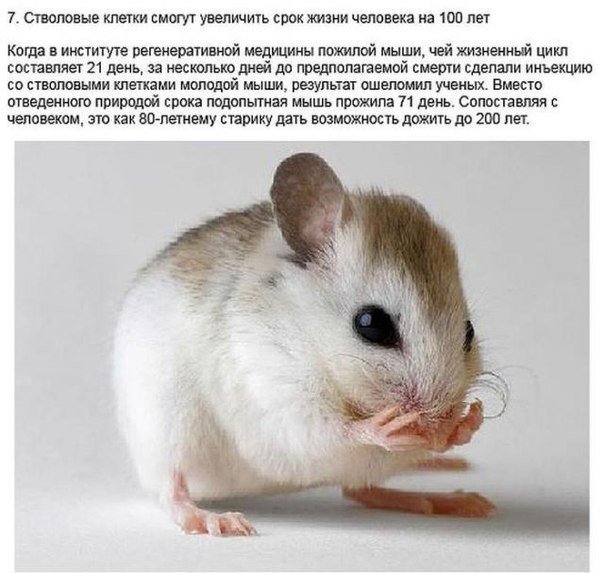 Необычный аттракцион в Японии: небесный велосипед - 6