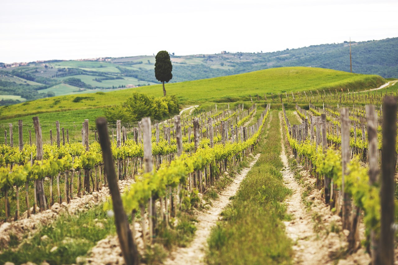 Италия. Тоскания - 9