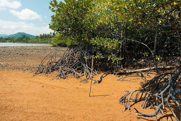 Thailand, Koh Chang - 7