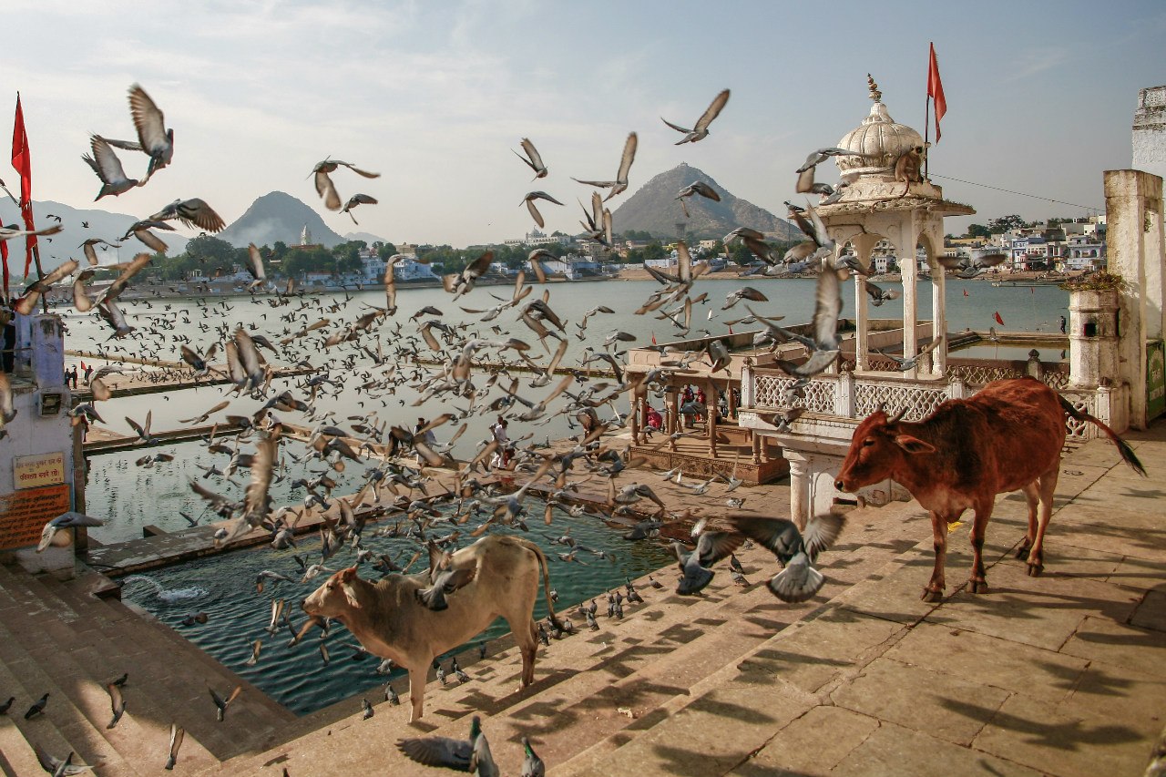 Священный город Пушкар, Индия