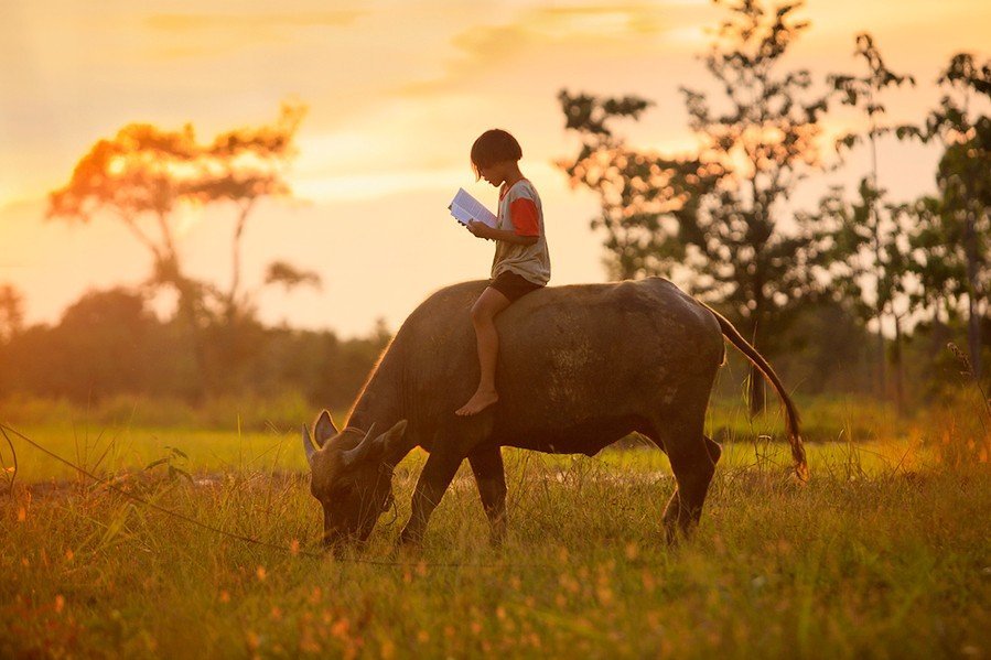 Воодушевляющая фотосессия в Таиланде - 5