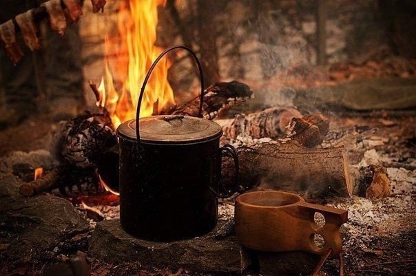 Что может быть лучше, чем отдых на природе