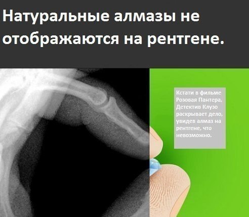 Немного интересных фактов.. Небольшая подборка любопытных фактов обо все. Вам будет интересно - 5