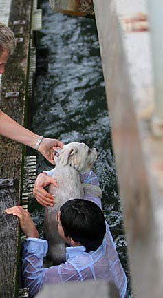 Уникальный поступок, достойный внимания - 5