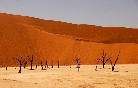 Пустелі світу - 6