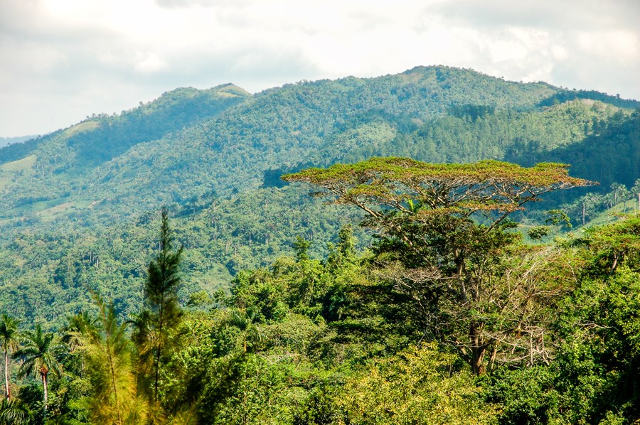 Куба. Далекая, но такая родная! - 6