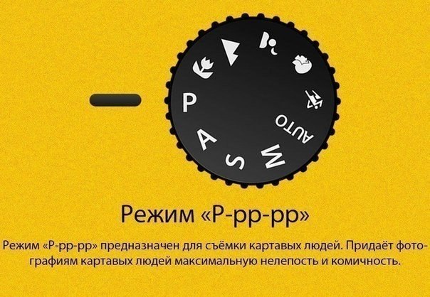 Как научиться правильно фотографировать.. Многие наши читатели наслаждаются красивыми фотоработами и хотят тоже хорошо снимать. Кто-то даже купил для этих целей японский зеркальный фотоаппарат. Но, как известно, снимает не аппарат, а человек. Но так как н - 8