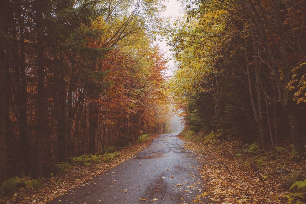 Осенний лес Тосканы, Италия - 7