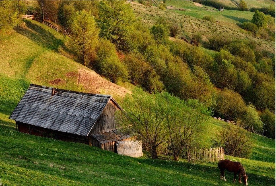 Красоты Карпат - 9