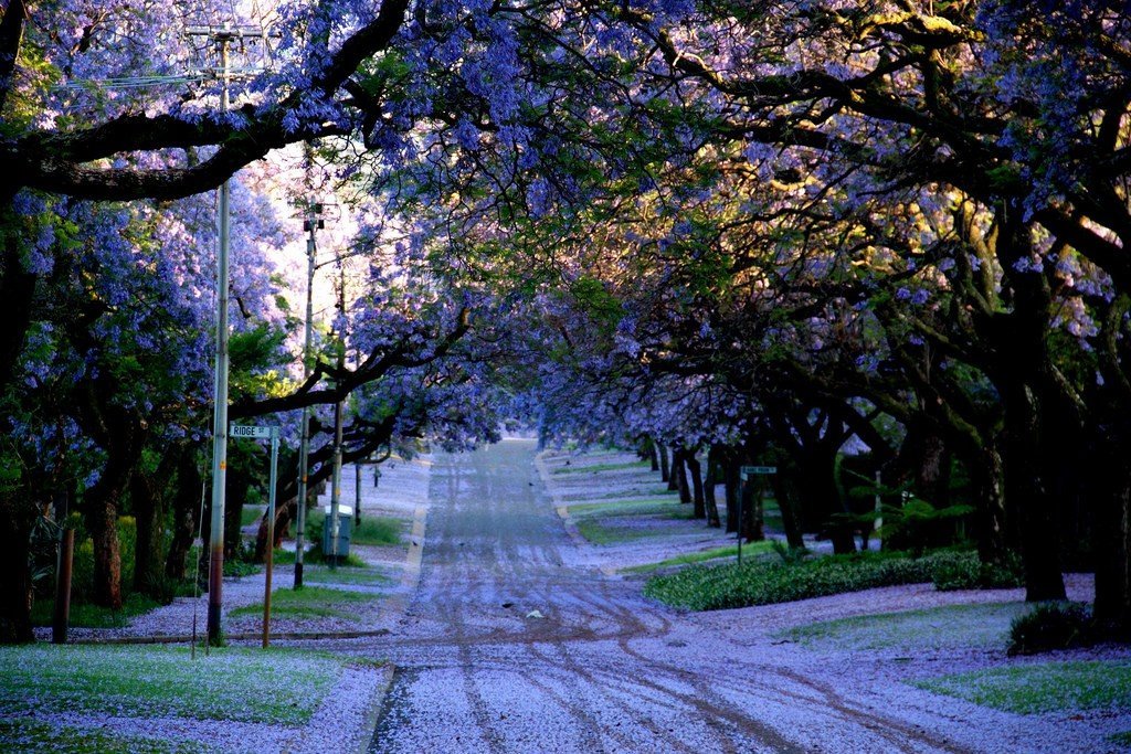 Претория, ЮАР