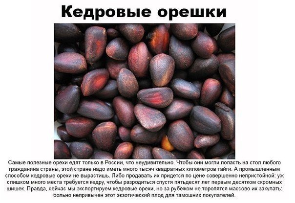 Вещи, которые есть только в постсоветских странах.... Мало кто знает, что веников, березового сока, кедровых орешков и гречки нет больше нигде... А что, семечки и вправду только у нас так массово употребляют? - 6